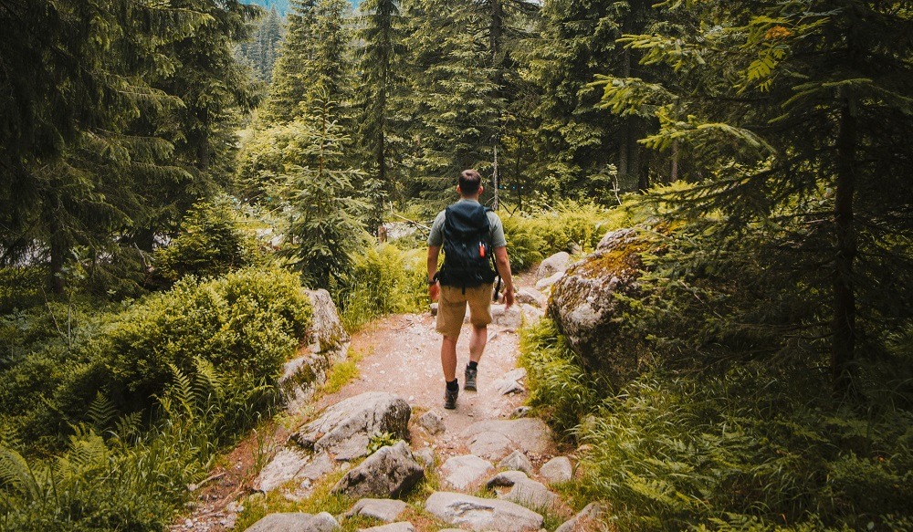 Los mejores pantalones de trekking para hombre para salir al campo o ir de  excursión
