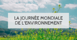 Participez à la journée mondiale de l'environnement, ce vendredi 5 juin !