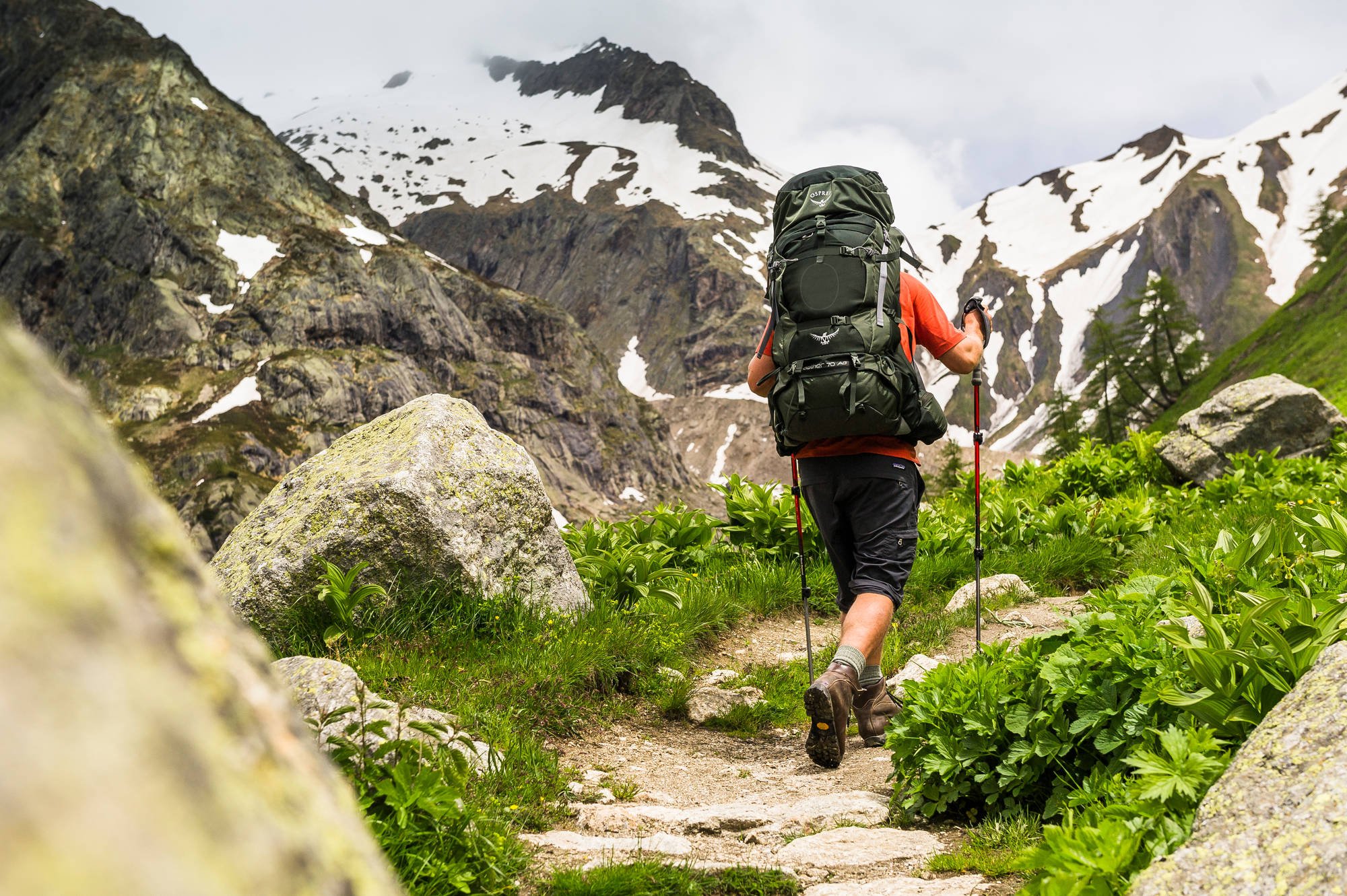 Buying : Trekking Backpack | Alpinstore
