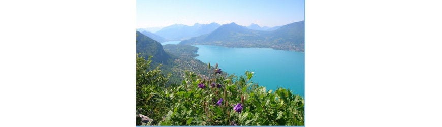 Eco-responsible gestures for your hikes - Alpinstore