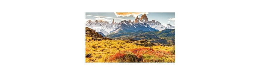 Patagonia, a company to save the planet